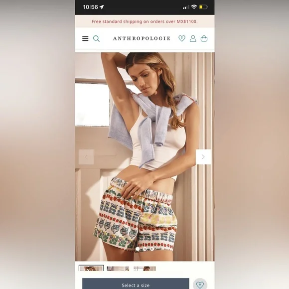 Anthropologie The Wren Boxer Shorts : Flannel Edition - Picture 6 of 9